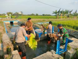 Bhatarling Polsek Karangjati Bersama Warga Bersih-bersih Kanal di Desa Sidokerto